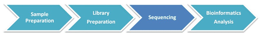 The Workflow of hMeDIP-seq.