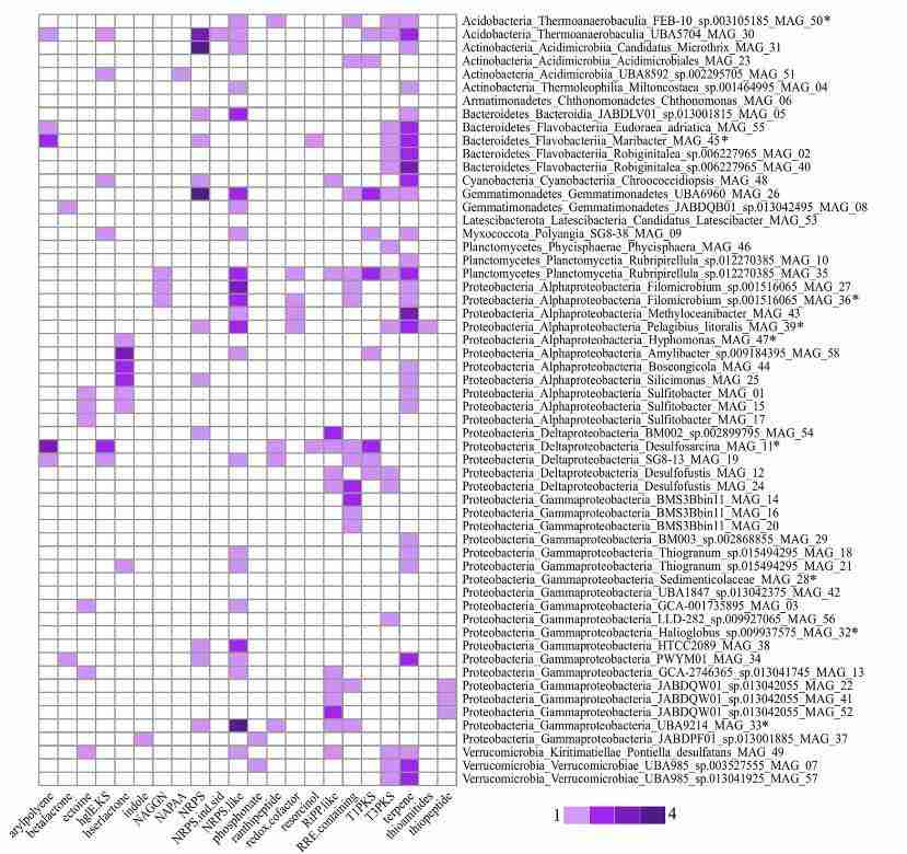 level microbiota diversity changes after high-fermented-food intervention in humans