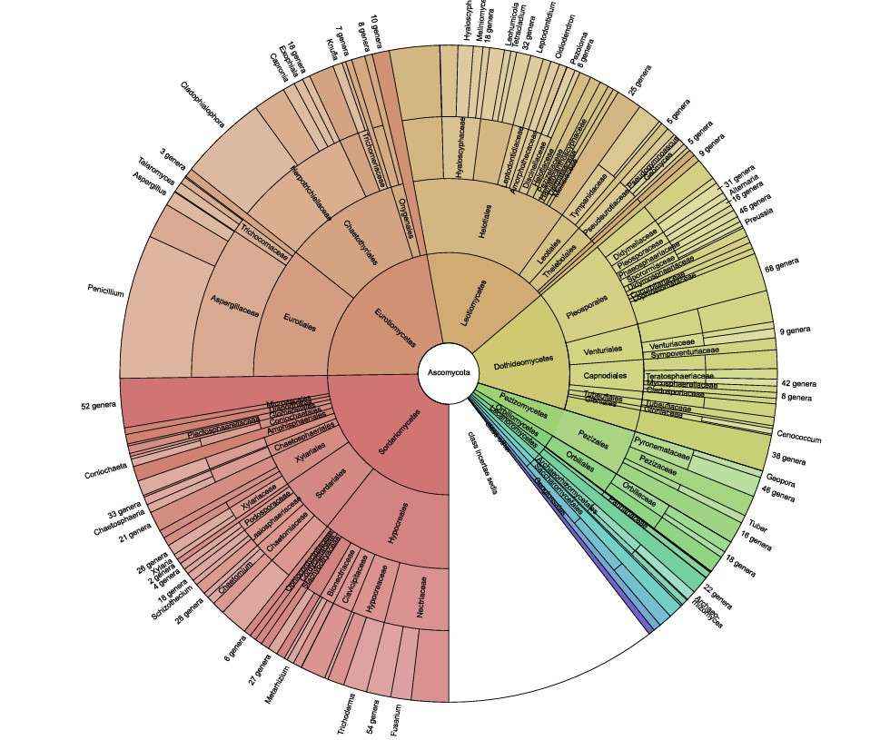 level microbiota diversity changes after high-fermented-food intervention in humans