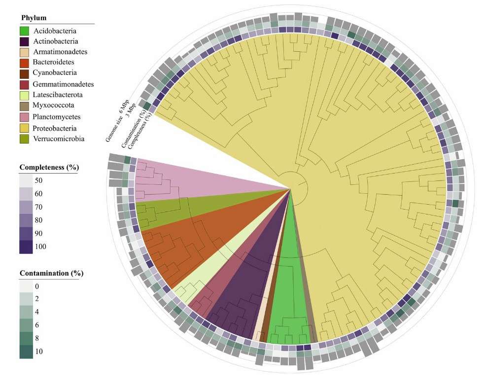 level microbiota diversity changes after high-fermented-food intervention in humans
