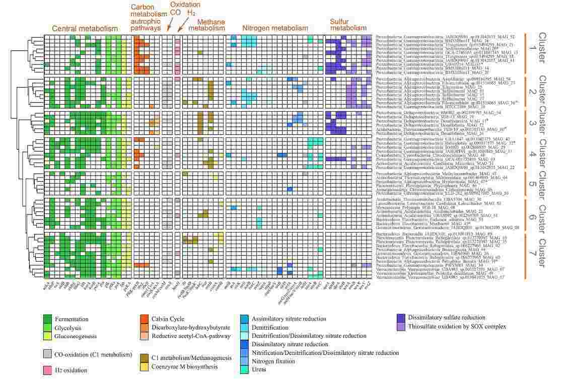 level microbiota diversity changes after high-fermented-food intervention in humans