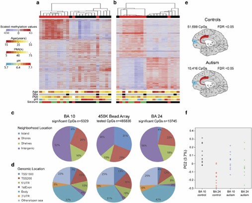 DNA methylation alterations in the cerebral cortex regions of individuals with autism (Nardone et al., 2014)
