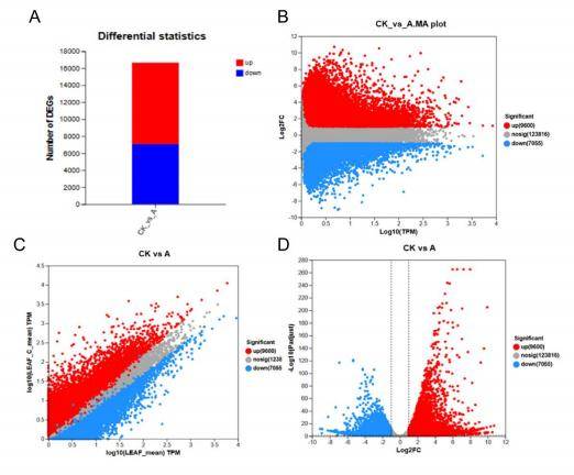 How to Decode the Transcriptome Sequencing Results: A Comprehensive Guide