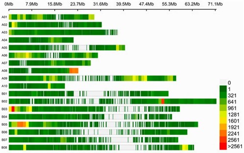 Visualization of the distribution of SNPs and INDELs across 18 chromosomes. (Wang, Yang, et al., 2024)