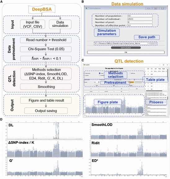 Screenshot of the DeepBSA software's graphical user interface. (Li, Zhao, et al. 2022)