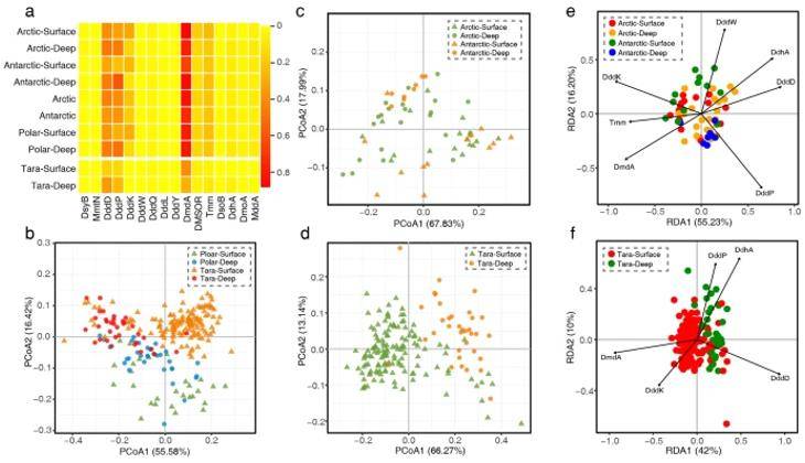 Analyses of inter-sample similarity among the polar and non-polar seawater samples. 