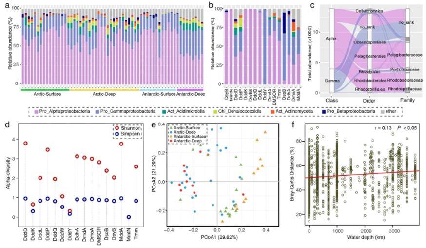 Phylogenetic diversity of DMS/DMSP cycling-related genes in the Arctic and Antarctic oceans.