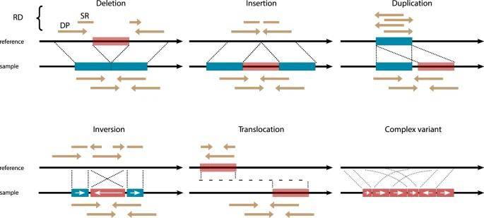 What is Structural Variation?