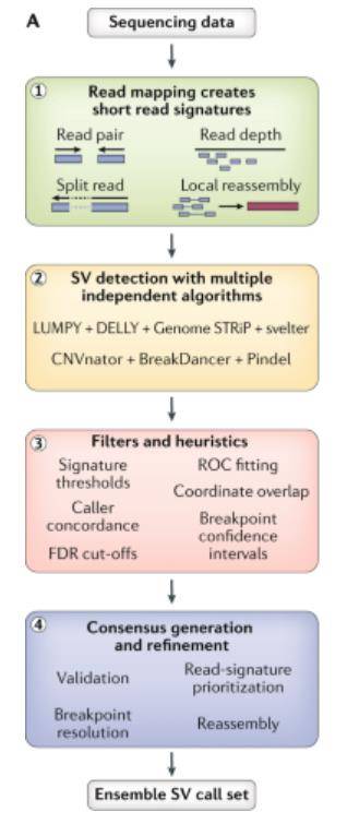 Sequence De Novo Assembly (AS) Approach