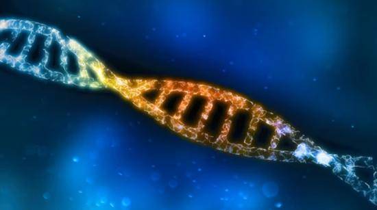 How to Detect Structural Variations (SVs) By Sequencing