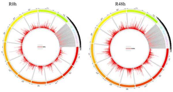 How to Detect Transcription Factor Binding Sites (TFBS) by ChIP-Seq