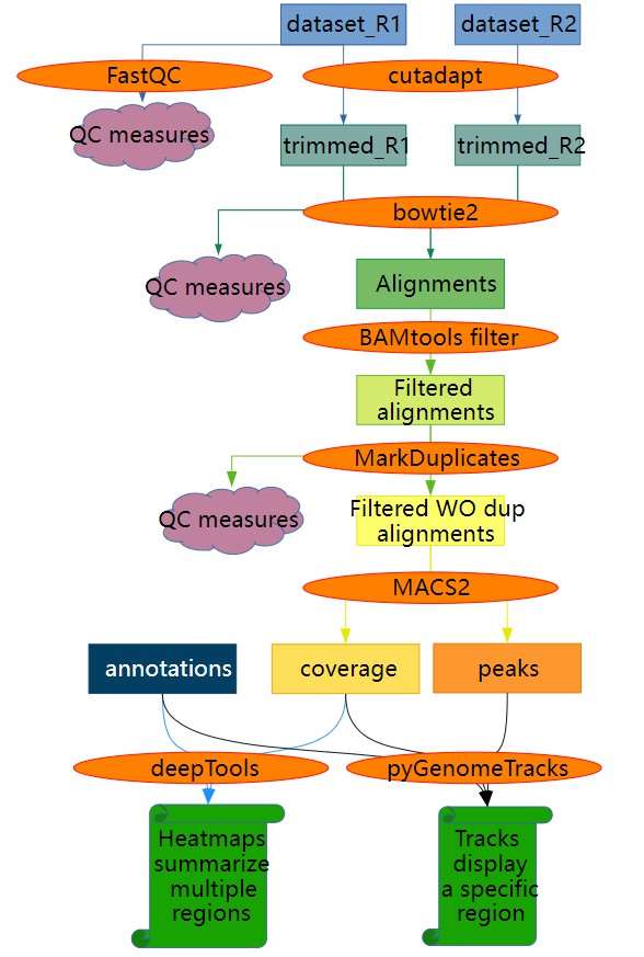 ATAC-Seq data analysis workflow.
