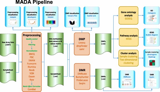 How to Optimize Data Analysis from Methylation Arrays: Tips and Tricks