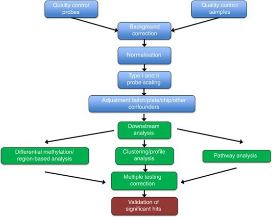 Methylation array data processing and analysis workflow. (Wilhelm-Benartzi, C., et al., 2013)