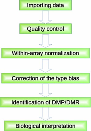 A general framework for analyzing Illumina 450K array data. (Wang, et al., 2018)