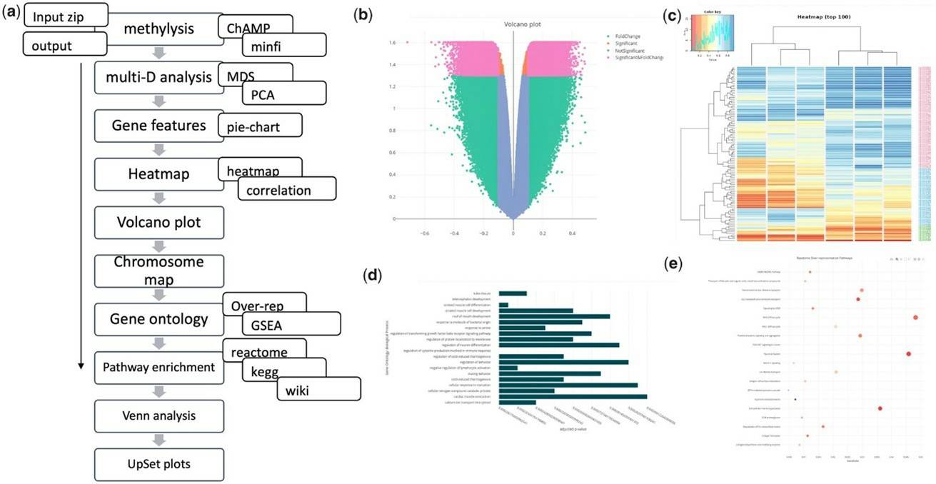 Schematic of the methylR pipeline and visualization of analysis results. (Volpe, et al., 2023)