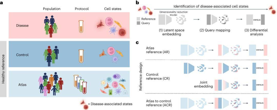 Using healthy reference datasets to discover disease-associated cell states.