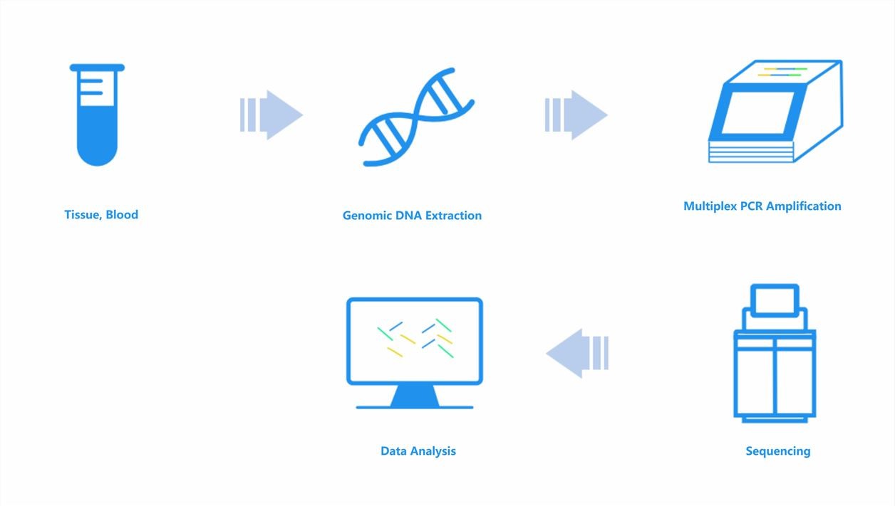 Workflow Diagram of Immune Repertoire Sequencing.