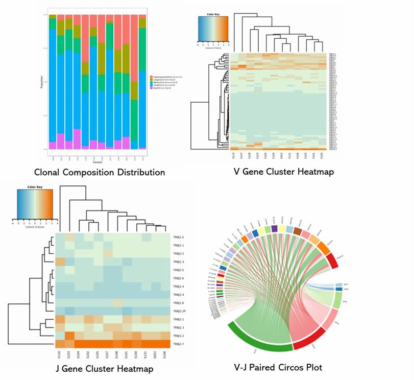 The Immune Repertoire Sequencing Results Display Figure.