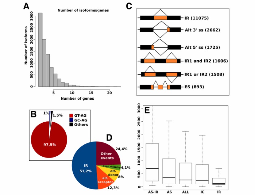 Research results of AS (Nicola et al., 2014)