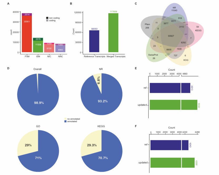 Results of HIT-ISOseq (Shi et al., 2024)