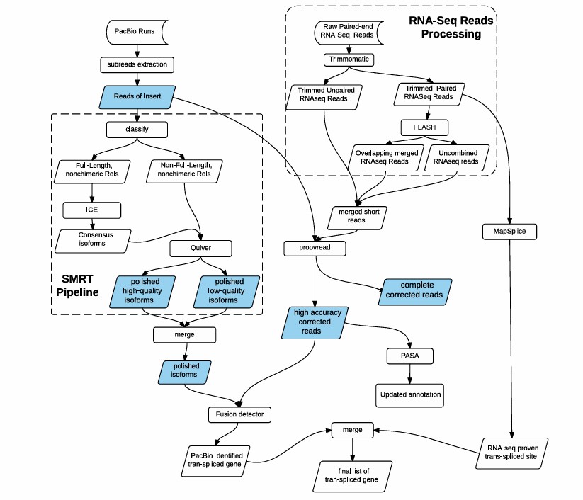 Comparing data analysis pipelines of RNA-seq and Iso-Seq (Jiang et al., 2017)