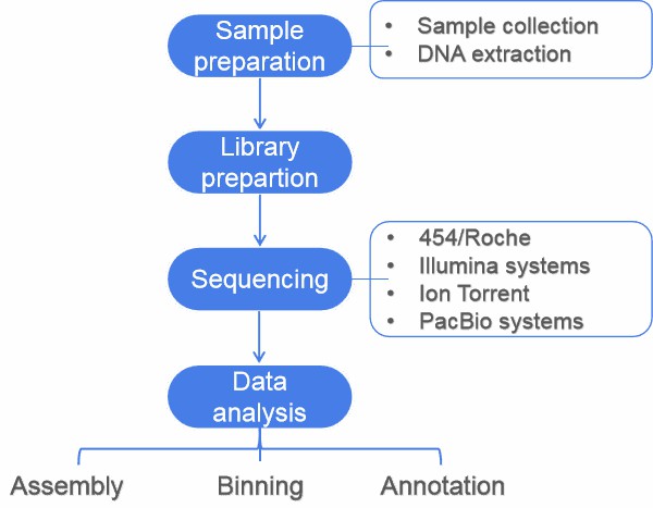 Figure 1. Flowchart illustrating a standard metagenome project.