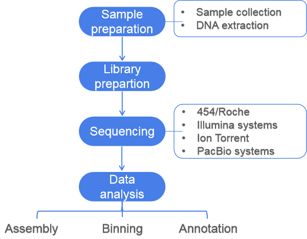 Introduction to Shotgun Metagenomics, from Sampling to Data Analysis