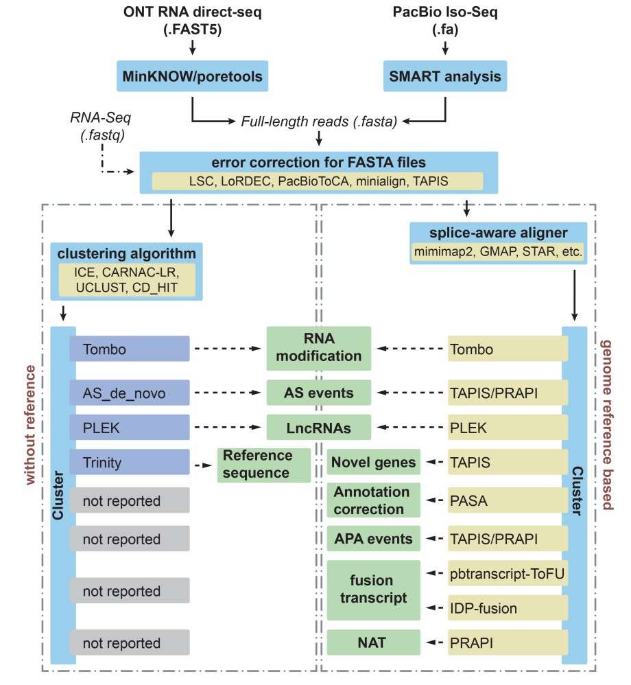 Applications and Bioinformatics Solutions for PacBio Iso-Seq and Nanopore RNA Sequencing in Plants (Zhao et al., 2019)
