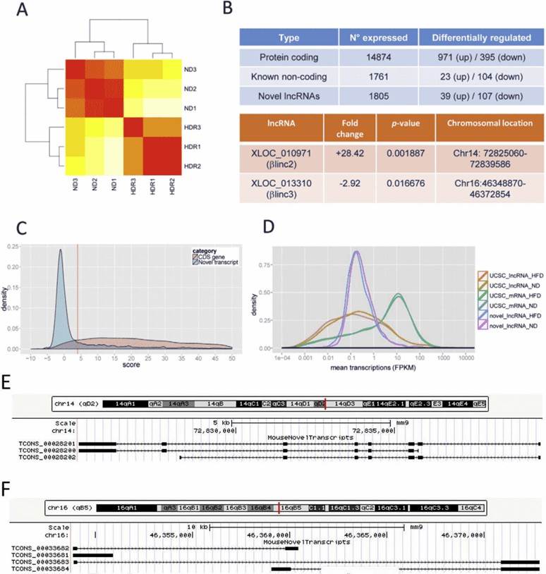 Figure 1. Summary of RNA-sequencing findings. (Motterle et al., 2017)