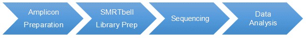 Workflow Diagram of Long Amplicon Analysis.