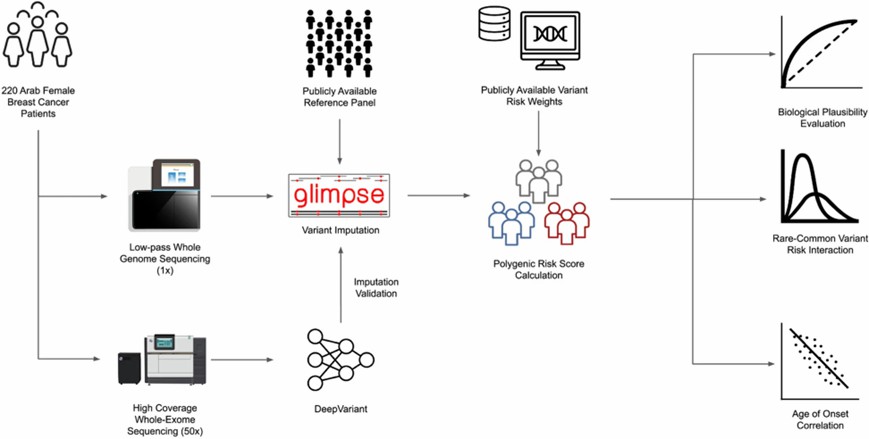 Low-pass whole genome sequencing (LP-WGS) and high-coverage whole-exome sequencing (WES) were applied to blood samples from 220 indigenous Arab breast cancer patients. (Al-Jumaan, M., et al., 2023)