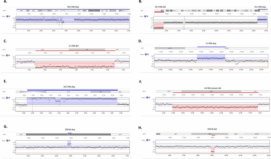 Copy number variations (CNVs) identified through low-pass whole genome sequencing (LP-WGS). (Mazzonetto, Patricia C., et al., 2024)