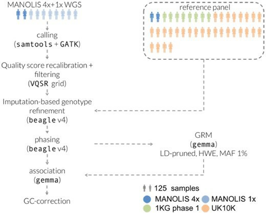 Data processing workflow for the MANOLIS 1× dataset. (Gilly, Arthur, et al., 2019)