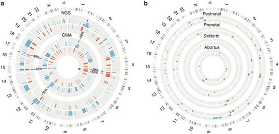 Detection of CNVs in both a validation cohort and a multicenter clinical cohort. (Dong, Z., et al., 2016)