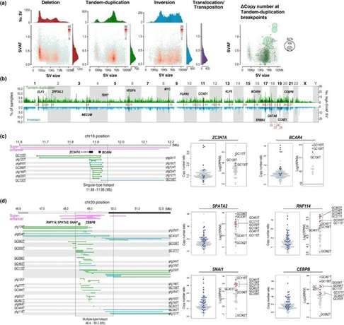 Structural variants in 170 gastric cancer (GC) genomes.