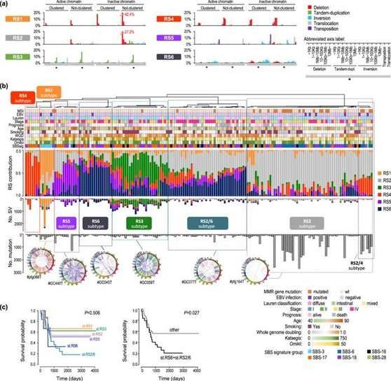 GC Structural rearrangement signatures (RSs).