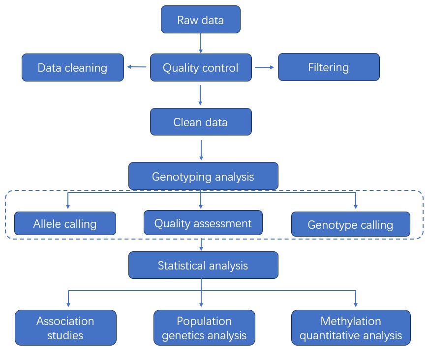 What Is Full-length 16S/18S/ITS Amplicon Sequencing 