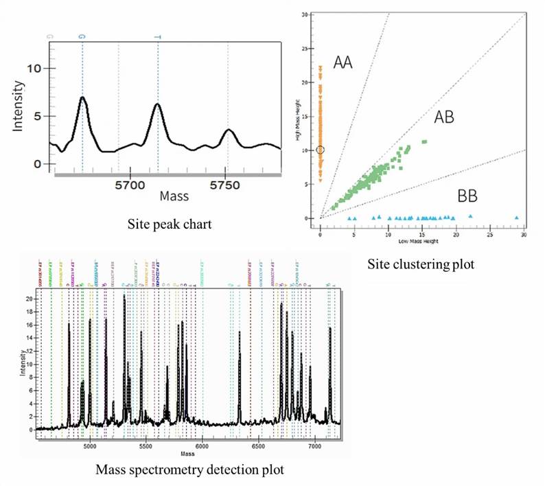 What Is Full-length 16S/18S/ITS Amplicon Sequencing 