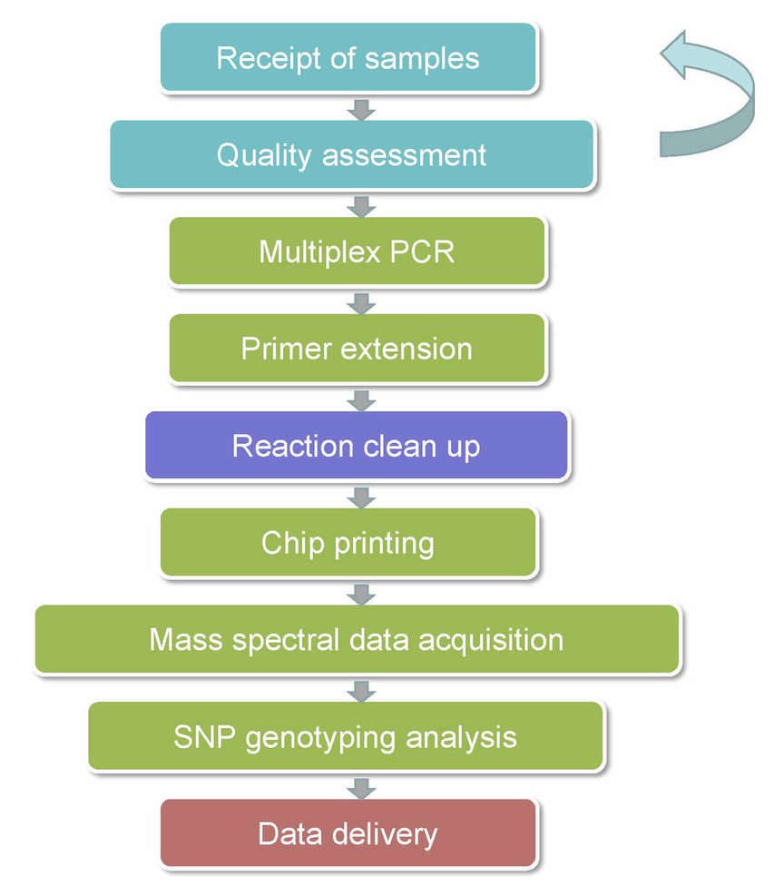 What Is Full-length 16S/18S/ITS Amplicon Sequencing 