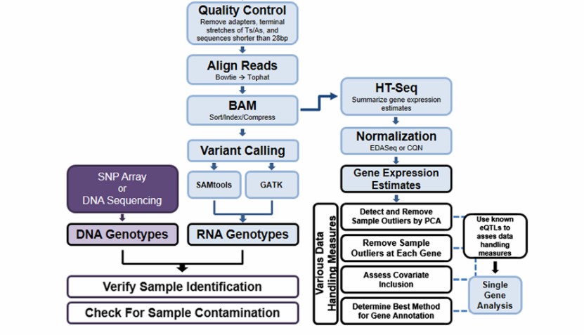 Data analysis workflow of Iso-Seq (Shannon et al., 2013)