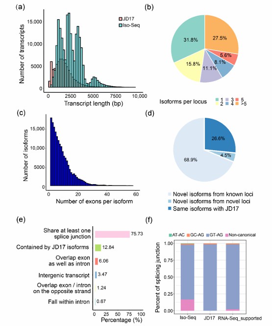 Transcriptome analysis of soybean (Liu et al., 2022)
