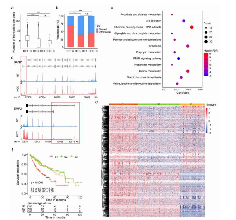 Using Iso-Seq in liver cancer (Chen et al., 2024)