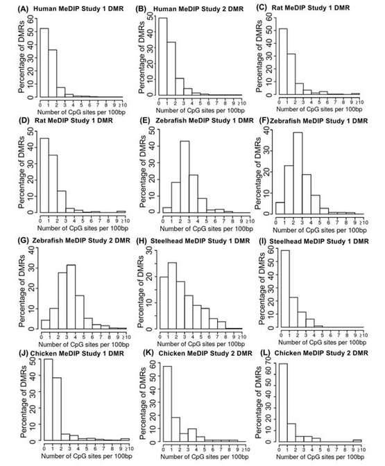 Methylated DNA immunoprecipitation sequencing (MeDIP-Seq)