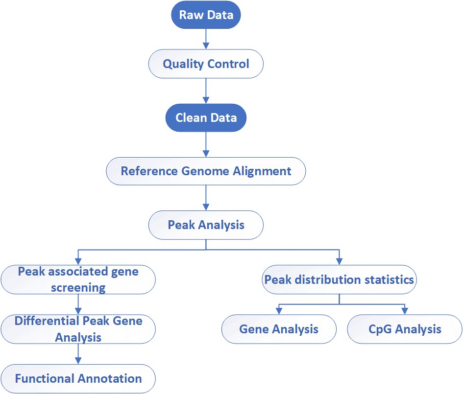 The Data Analysis Pipeline of MeDIP Sequencing.