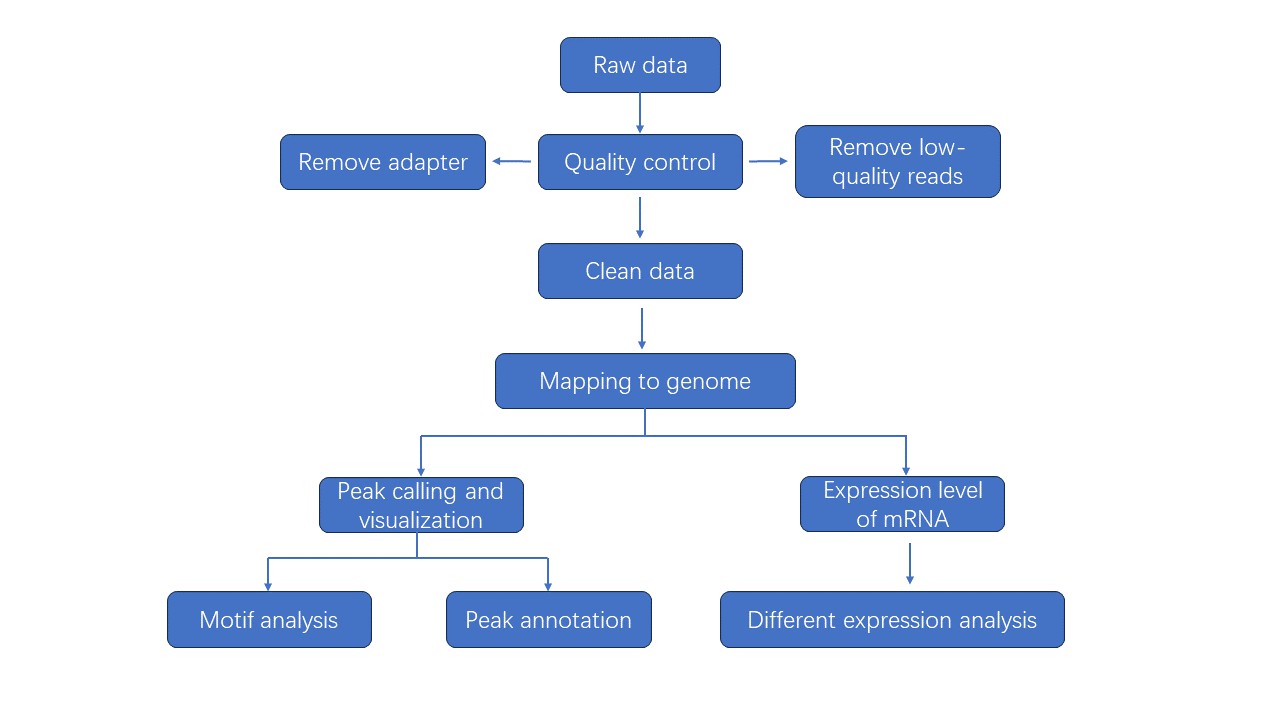 merip-sequencing-m6a-analysis-1