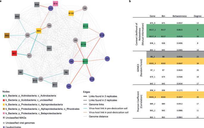 Phage–host infection network and community co-occurrence analysis.