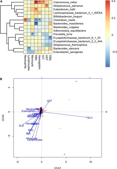 Figure 4: Gut microbiome and clinical index associations in COVID-19 (Li et al., 2021)