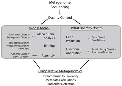Figure 5: Common metagenomic analysis techniques depicted (Sharpton, 2014)