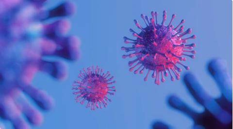 Metagenome Sequencing vs. Viral Amplicon Sequencing: Choosing Effective Sequencing Methods for Monitoring Viral Mutations